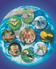 illustration of the planet Earth will images of a variety of animals on it