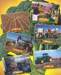 photographic collage of a variety of farm scenes and activities