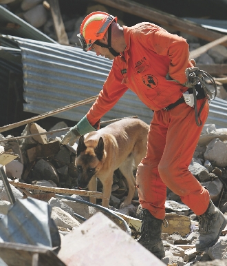 Dogs can help during emergencies.