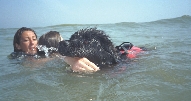 photograph of a dog swimming and rescuing a young girl