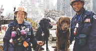 photograph of two rescue workers and two rescue dogs