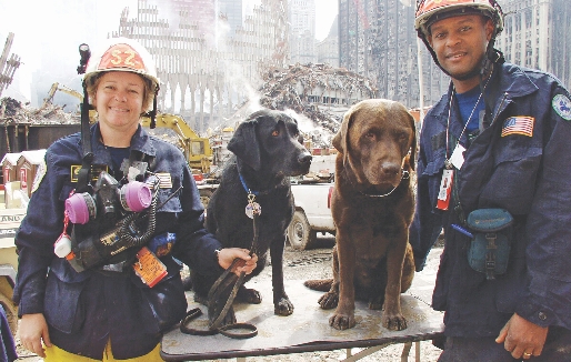 Dogs helped workers after the September 11, 2001 attacks in New York City.