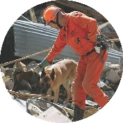 photograph of rescue worker and SAR dog walking through rubble