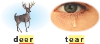 illustration of a deer and tear