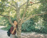 photograph of a teenage boy standing next to a tall tree