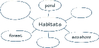 illustration of word web graphic organizer for habitats