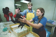 These people help sick birds.