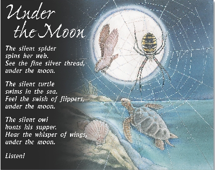 
Under the Moon

The silent spider
spins her web.
See the fine silver thread,
under the moon.


The silent turtle
swims in the sea.
Feel the swish of flippers,
under the moon.


The silent owl
hunts his supper.
Hear the whisper of wings,
under the moon.


Listen!

