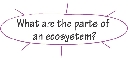 illustration of the main circle of a detail web graphic organizer