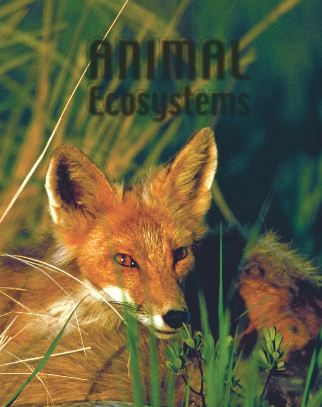 photograph of the book cover for Animal Ecosystems