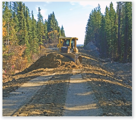 People change animal ecosystems when they build roads and homes.