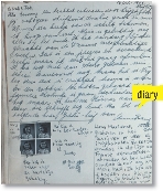 Some people wrote about their lives in diaries or journals. You can read them to see what people’s lives were like in the past.