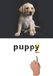 photograph of a puppy and the written word puppy