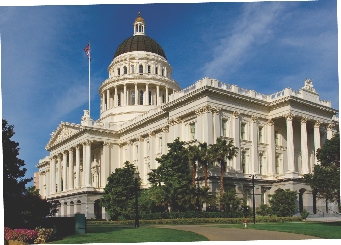 Sal goes to the State House every year to learn about government.