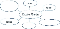 illustration of a word web graphic organizer for body parts