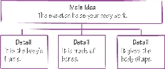 illustration of main idea and details graphic organizer