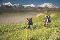 These hikers are walking to the mountains.