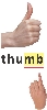 illustration of a thumb and the word thumb