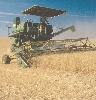 photograph of a machine harvesting a crop