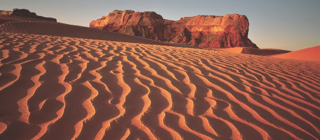 In the desert, sand dunes look like waves.