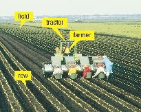 The farmer plows the field and plants the lettuce.