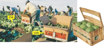 The farmer gets help to harvest the crop.