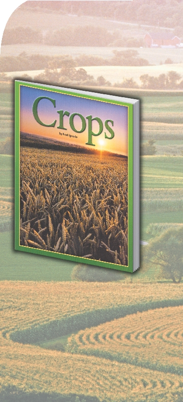 Farmers in the United States use land to grow crops such as wheat and corn.