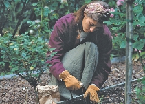 This woman is working in her garden.