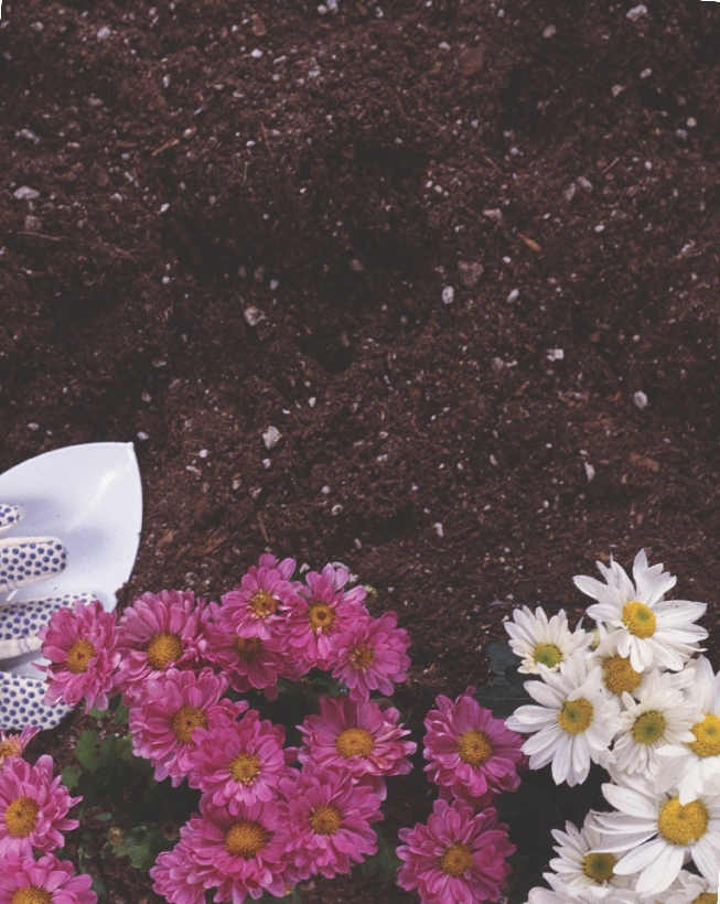 photograph of gardening gloves, flowers, and a gardening tool