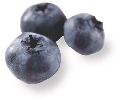 photograph of three blueberries