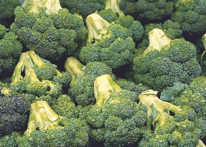 Broccoli