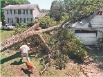 Wind damage from Hurricane Floyd, 1999