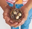 photograph of two hands holding a bird's nest with baby birds