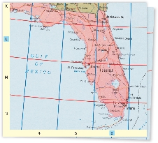 illustration of a grid system map of Florida and the Gulf of Mexico