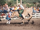 photograph of a cowboy riding a bull at a rodeo show