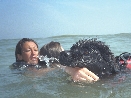 photograph of a dog rescuing a swimmer