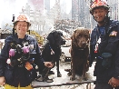 photograph of two police officers and two search and rescue dogs