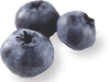 photograph of three blueberries