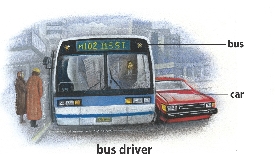 bus driver