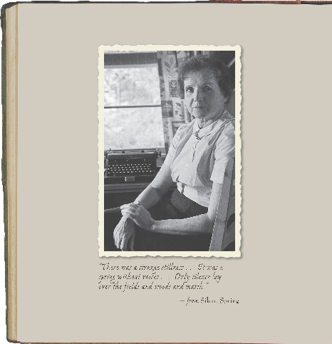 “ There was a strange stillness … It was a spring without voices … Only silence lay over the fields and woods and marsh.”