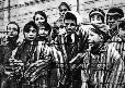 photograph of prisoners in a concentration camp during the war