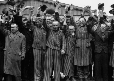 photograph of prisoners released from a concentration camp