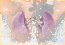 illustration of the lungs inside the swimmer's chest