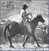 A cowboy works with horses and cattle. There were many cowboys in Texas in the late 1800s.