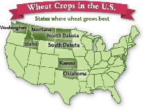 Wheat Crops in the U.S.