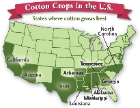 Cotton Crops in the U.S.