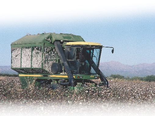 A cotton picker pulls cotton from the bolls.