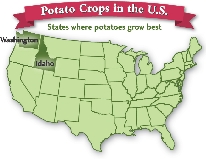 Potato Crops in the U.S.