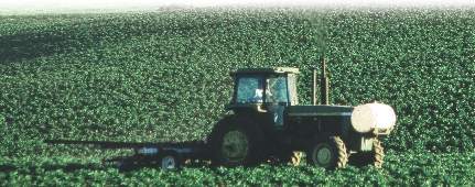 This tractor is pulling a machine called a cultivator through the potato field.