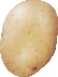 photograph of a Yukon gold potato